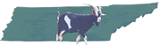 clipart of goat layered on a map of the state of Tennesssee