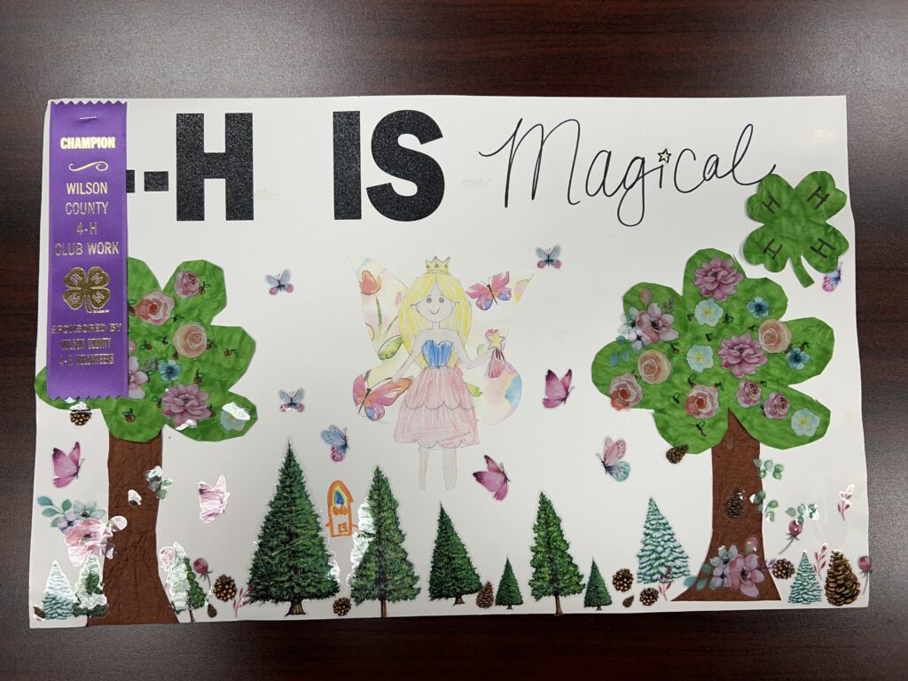 4-H is Magical