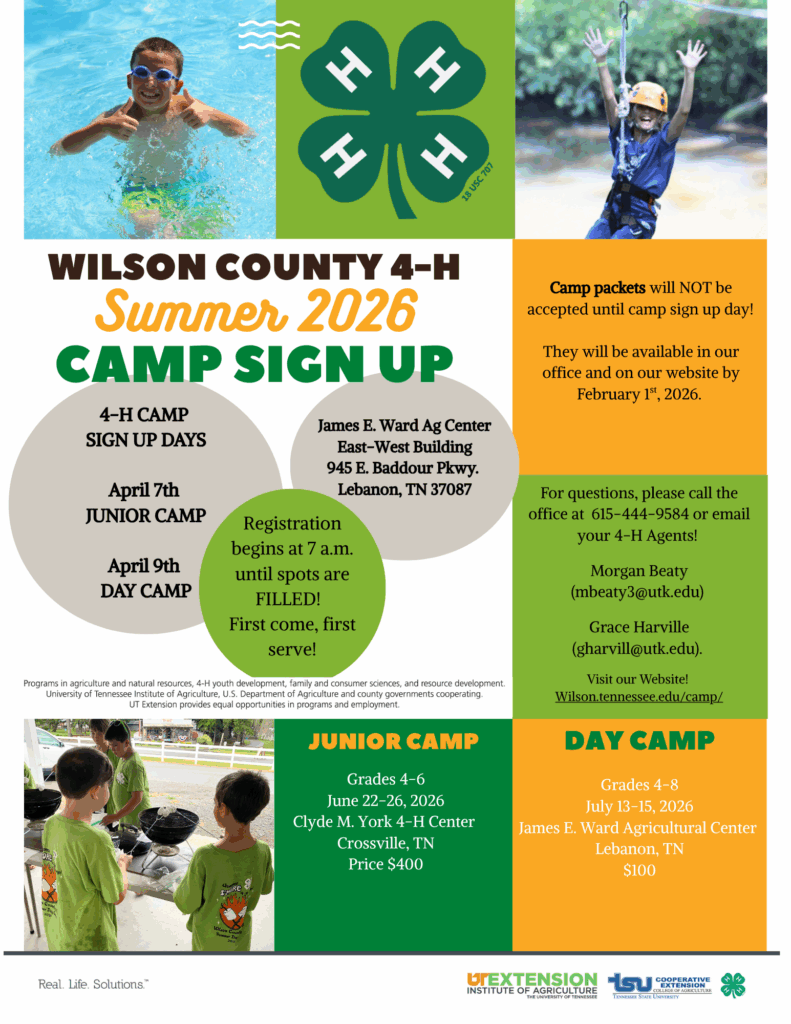 Save the date for summer camp 2026 flyer