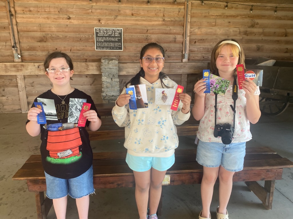 3 girls standing in a row holding photos and ribbons.